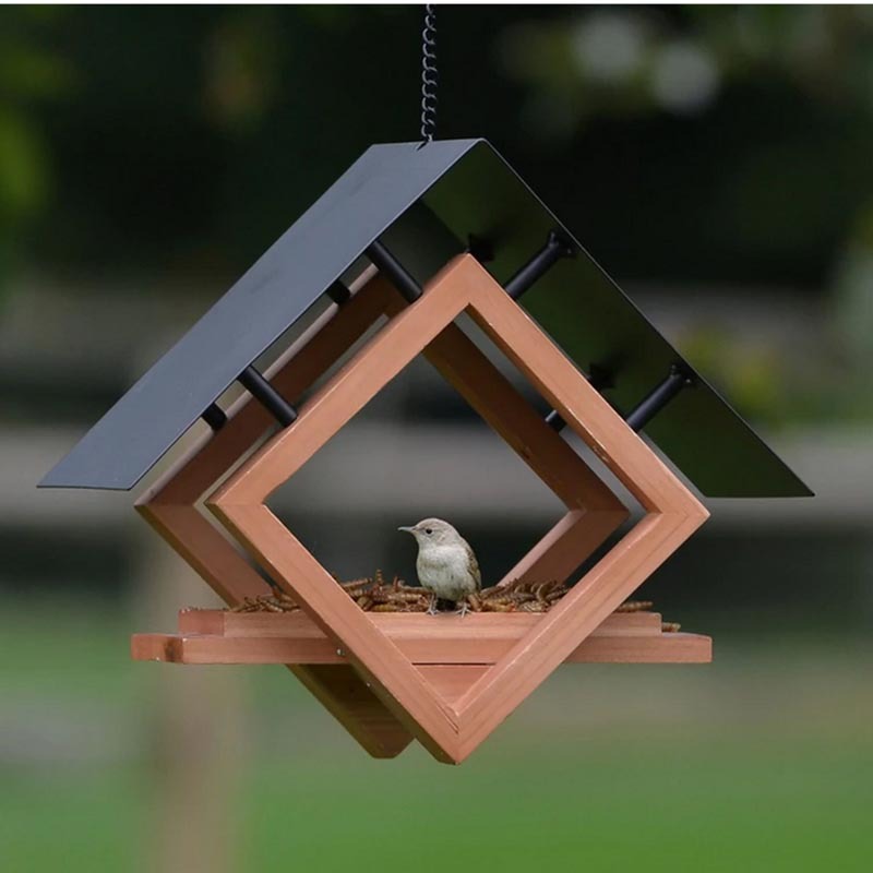 Hanging Bird FeederSupplies Feeder