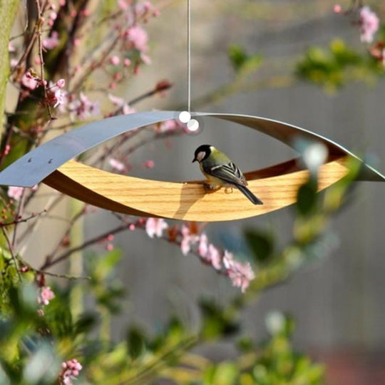 Hanging Bird FeederSupplies Feeder