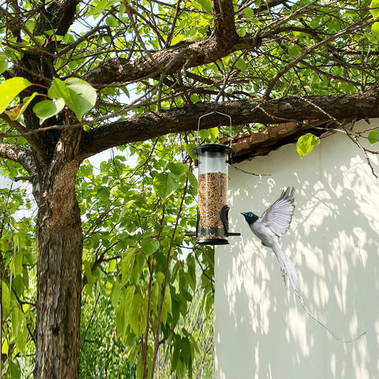 Outdoor Bird Feeder Hanging Automatic Bird Feeder