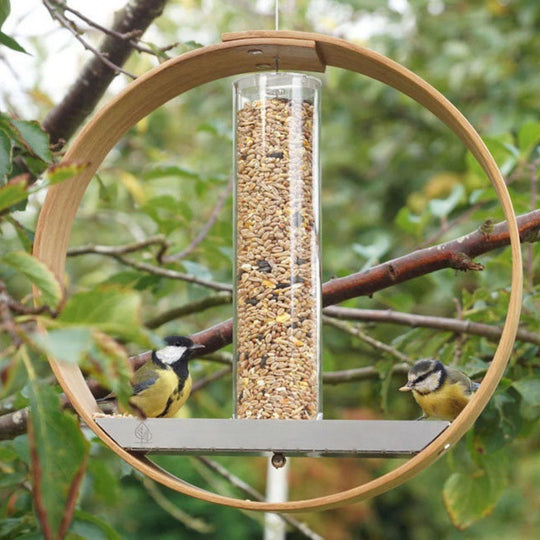 Hanging Bird FeederSupplies Feeder