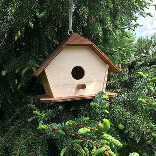 Hanging Bird FeederSupplies Feeder
